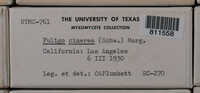 Image Associated With the Occurence